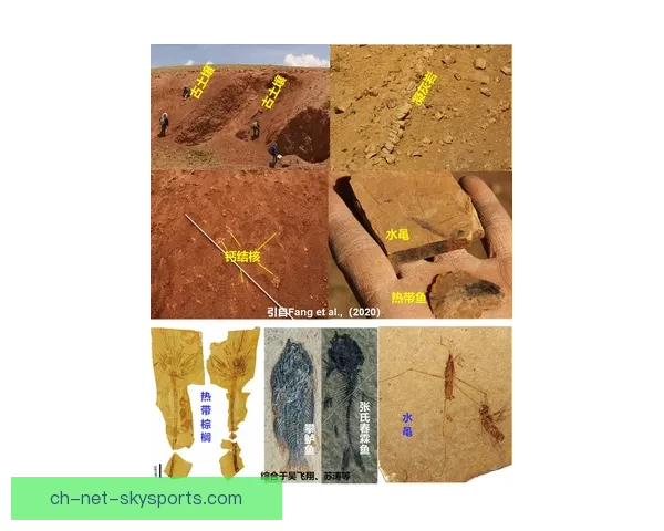 林古尔1至3号与盖迪亚瓦耶地区的地质演化及其对环境变迁的影响分析