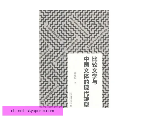 图寅根雷达虎81-100纽伦堡系统解析及其在现代军事中的应用